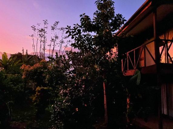 Marari Rapa Nui Hotel Ханга Роа Екстериор снимка