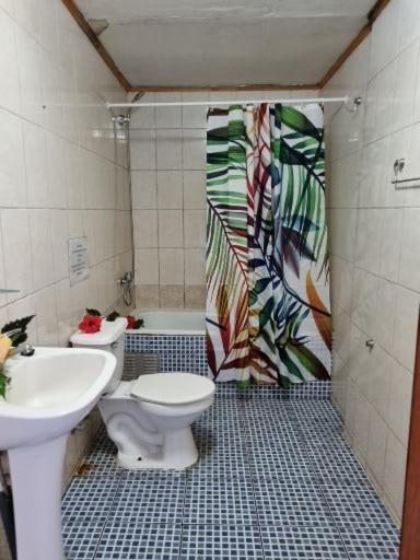 Marari Rapa Nui Hotel Ханга Роа Екстериор снимка