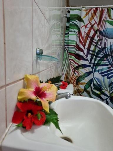 Marari Rapa Nui Hotel Ханга Роа Екстериор снимка